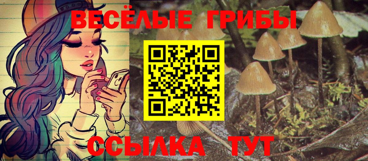 Галлюциногенные грибы мицелий  Псилоцибиновые грибы Psilocybine cubensis  Краснодар  Вход с VPN 